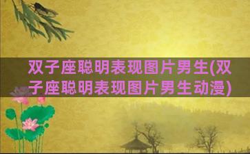双子座聪明表现图片男生(双子座聪明表现图片男生动漫)