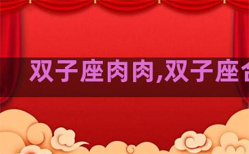 双子座肉肉,双子座合集