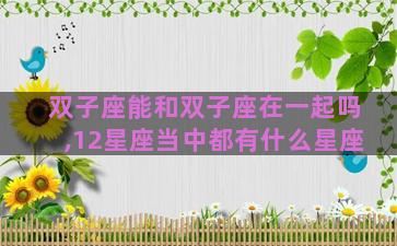 双子座能和双子座在一起吗,12星座当中都有什么星座