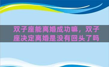 双子座能离婚成功嘛，双子座决定离婚是没有回头了吗