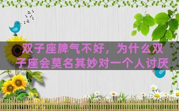 双子座脾气不好，为什么双子座会莫名其妙对一个人讨厌