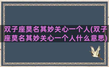 双子座莫名其妙关心一个人(双子座莫名其妙关心一个人什么意思)