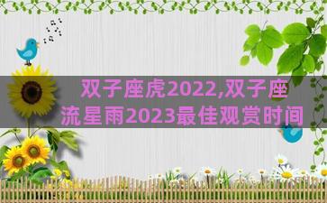 双子座虎2022,双子座流星雨2023最佳观赏时间