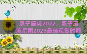 双子座虎2022，双子座流星雨2023最佳观赏时间