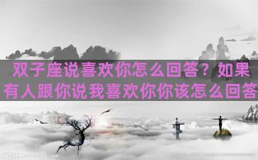 双子座说喜欢你怎么回答？如果有人跟你说我喜欢你你该怎么回答