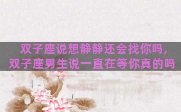 双子座说想静静还会找你吗,双子座男生说一直在等你真的吗
