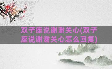 双子座说谢谢关心(双子座说谢谢关心怎么回复)