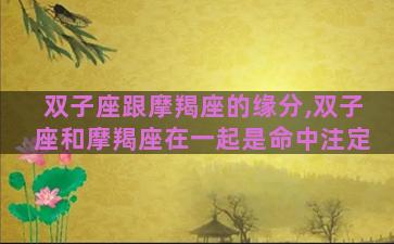 双子座跟摩羯座的缘分,双子座和摩羯座在一起是命中注定 双子座跟摩羯座的缘分,双子座和摩羯座在一起是命中注定