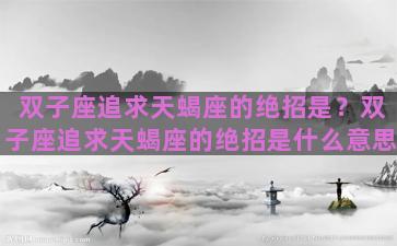 双子座追求天蝎座的绝招是？双子座追求天蝎座的绝招是什么意思
