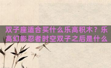 双子座适合买什么乐高积木？乐高幻影忍者时空双子之后是什么