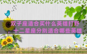 双子座适合买什么英雄打野，十二星座分别适合哪些英雄
