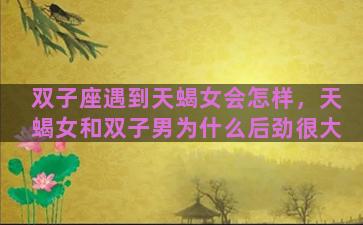 双子座遇到天蝎女会怎样，天蝎女和双子男为什么后劲很大
