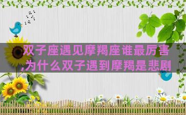 双子座遇见摩羯座谁最厉害,为什么双子遇到摩羯是悲剧