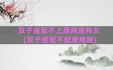 双子座配不上摩羯座吗女(双子座配不配摩羯座)