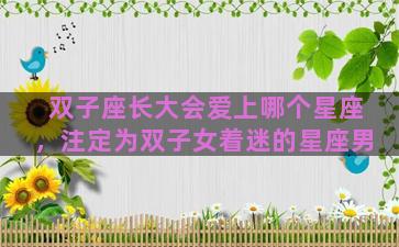 双子座长大会爱上哪个星座，注定为双子女着迷的星座男