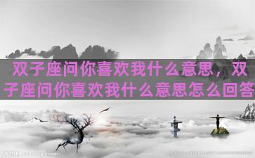 双子座问你喜欢我什么意思，双子座问你喜欢我什么意思怎么回答