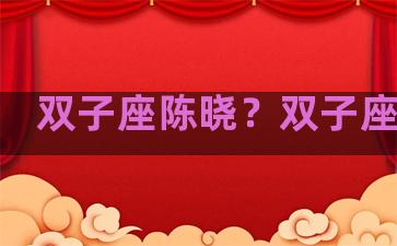 双子座陈晓？双子座小巍