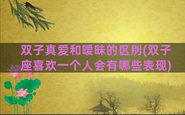 双子真爱和暧昧的区别(双子座喜欢一个人会有哪些表现)