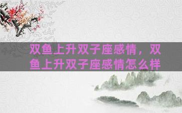 双鱼上升双子座感情，双鱼上升双子座感情怎么样
