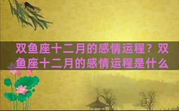 双鱼座十二月的感情运程？双鱼座十二月的感情运程是什么