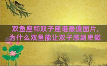 双鱼座和双子座谁最傻图片,为什么双鱼能让双子感到卑微