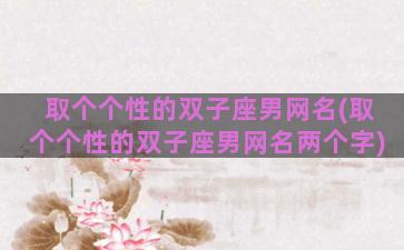 取个个性的双子座男网名(取个个性的双子座男网名两个字)