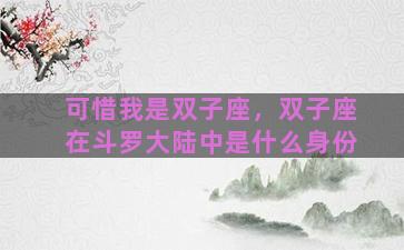 可惜我是双子座，双子座在斗罗大陆中是什么身份
