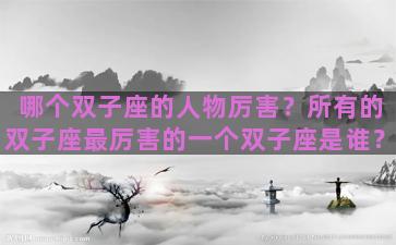 哪个双子座的人物厉害？所有的双子座最厉害的一个双子座是谁？