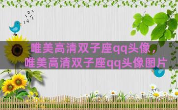 唯美高清双子座qq头像，唯美高清双子座qq头像图片