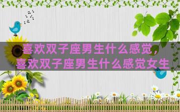 喜欢双子座男生什么感觉，喜欢双子座男生什么感觉女生