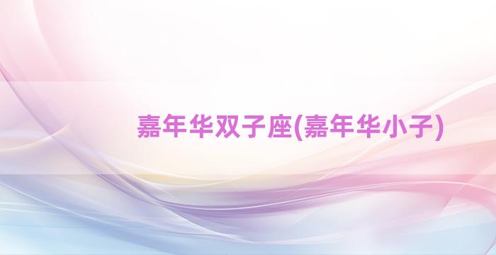 嘉年华双子座(嘉年华小子)