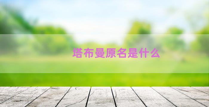 塔布曼原名是什么