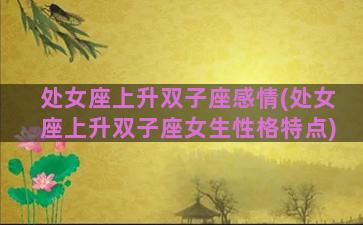 处女座上升双子座感情(处女座上升双子座女生性格特点)