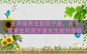 天坪座男生配双子座，天平座男生和双子座女生配对指数