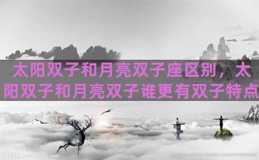 太阳双子和月亮双子座区别，太阳双子和月亮双子谁更有双子特点