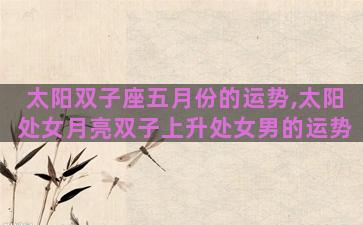 太阳双子座五月份的运势,太阳处女月亮双子上升处女男的运势