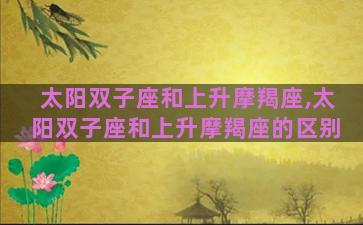 太阳双子座和上升摩羯座,太阳双子座和上升摩羯座的区别 太阳双子座和上升摩羯座,太阳双子座和上升摩羯座的区别