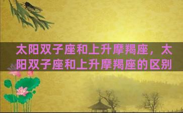 太阳双子座和上升摩羯座，太阳双子座和上升摩羯座的区别