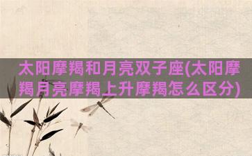 太阳摩羯和月亮双子座(太阳摩羯月亮摩羯上升摩羯怎么区分)