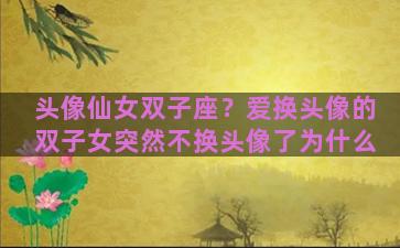 头像仙女双子座？爱换头像的双子女突然不换头像了为什么