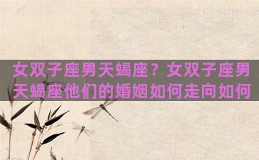 女双子座男天蝎座？女双子座男天蝎座他们的婚姻如何走向如何