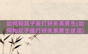 如何和双子座打好关系男生(如何和双子座打好关系男生说话)