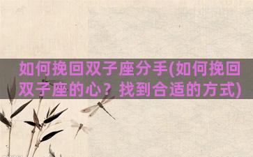如何挽回双子座分手(如何挽回双子座的心？找到合适的方式)