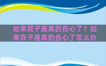 如果双子座真的伤心了？如果双子座真的伤心了怎么办