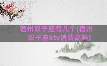 宿州双子座有几个(宿州双子座ktv消费高吗)