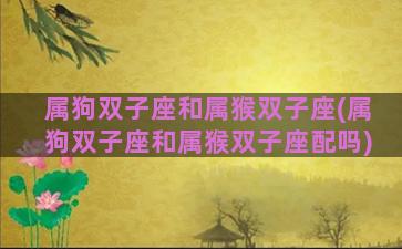 属狗双子座和属猴双子座(属狗双子座和属猴双子座配吗)