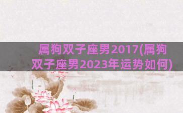 属狗双子座男2017(属狗双子座男2023年运势如何)