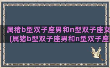 属猪b型双子座男和n型双子座女(属猪b型双子座男和n型双子座女配对)