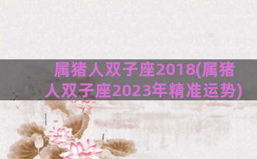 属猪人双子座2018(属猪人双子座2023年精准运势)