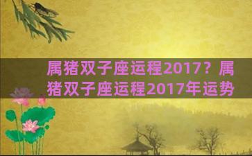 属猪双子座运程2017？属猪双子座运程2017年运势